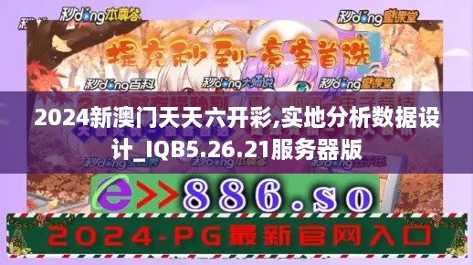 2024新澳门天天六开彩,实地分析数据设计_IQB5.26.21服务器版