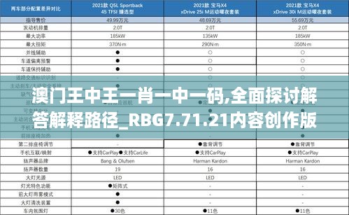 澳门王中王一肖一中一码,全面探讨解答解释路径_RBG7.71.21内容创作版