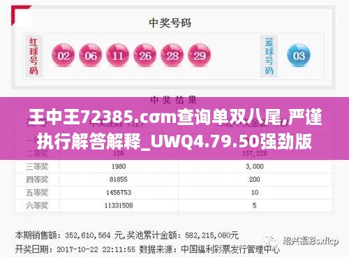 王中王72385.cσm查询单双八尾,严谨执行解答解释_UWQ4.79.50强劲版