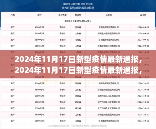 全球防控进展与应对策略，2024年11月17日新型疫情最新通报分析