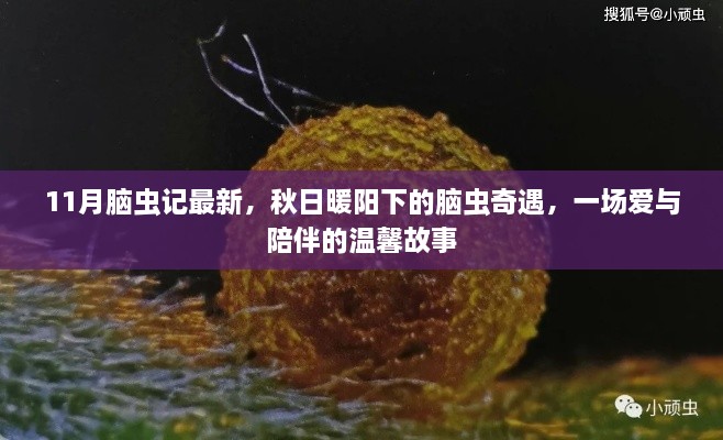 秋日暖阳下的脑虫奇遇，爱与陪伴的温馨故事