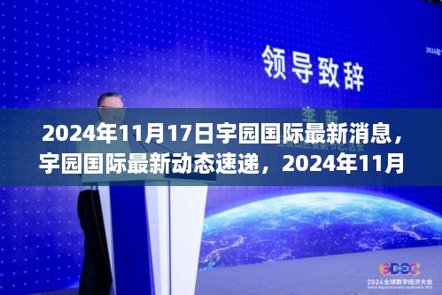 宇园国际最新动态速递，2024年11月17日概览