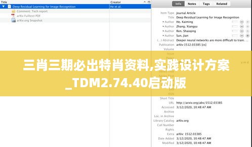 三肖三期必出特肖资料,实践设计方案_TDM2.74.40启动版