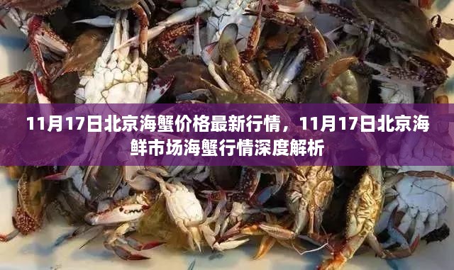 北京海鲜市场海蟹行情深度解析，最新行情揭示（11月17日）