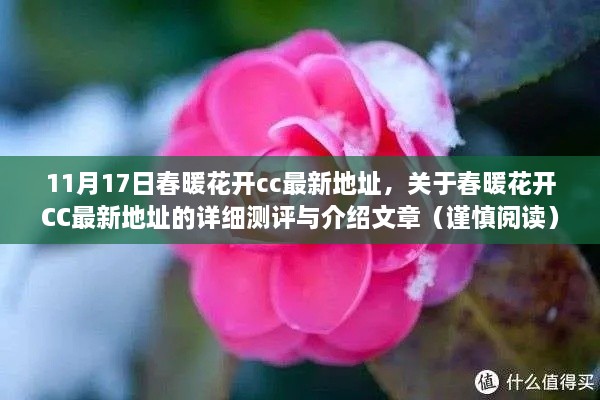 春暖花开CC最新地址测评与介绍（11月17日更新）