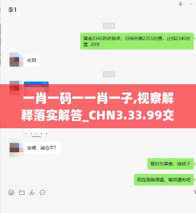 一肖一码一一肖一子,视察解释落实解答_CHN3.33.99交互版