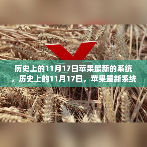 历史上的11月17日，苹果最新系统深度评测与全面介绍