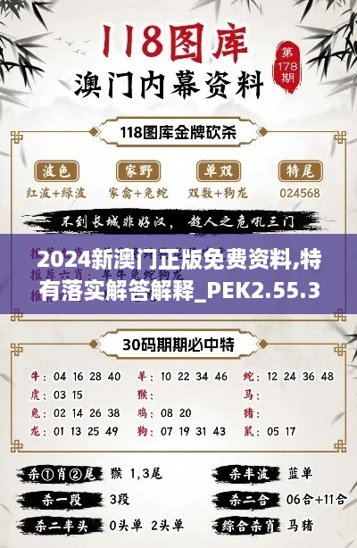 2024新澳门正版免费资料,特有落实解答解释_PEK2.55.37高端体验版