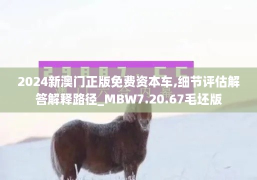 2024新澳门正版免费资本车,细节评估解答解释路径_MBW7.20.67毛坯版