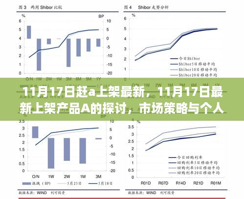 11月17日最新上架产品A探讨，市场策略与个人立场深度分析