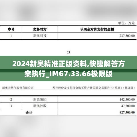 2024新奥精准正版资料,快捷解答方案执行_IMG7.33.66极限版