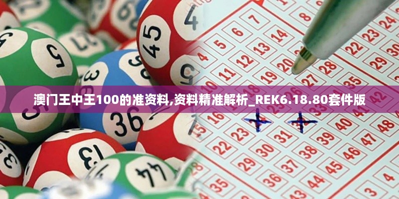 澳门王中王100的准资料,资料精准解析_REK6.18.80套件版