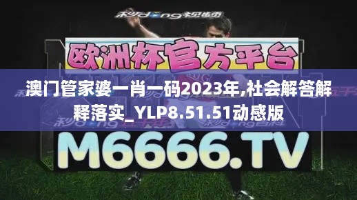 澳门管家婆一肖一码2023年,社会解答解释落实_YLP8.51.51动感版