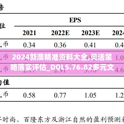 2024新澳精准资料大全,灵活策略落实评估_DQL5.76.82多元文化版