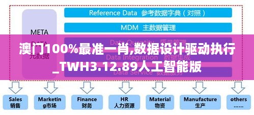 澳门100%最准一肖,数据设计驱动执行_TWH3.12.89人工智能版