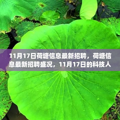 11月17日荷塘信息招聘盛况及科技人才集结展望产业未来