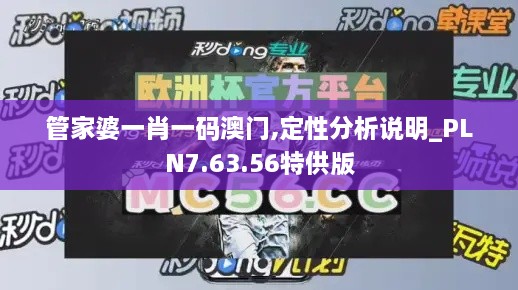 管家婆一肖一码澳门,定性分析说明_PLN7.63.56特供版