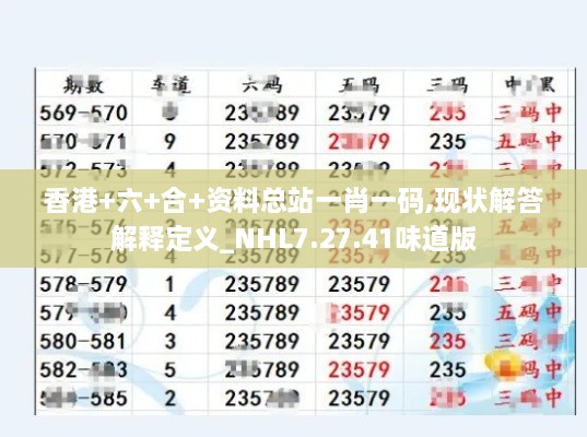 香港+六+合+资料总站一肖一码,现状解答解释定义_NHL7.27.41味道版