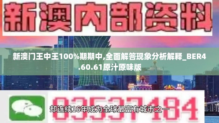 新澳门王中王100%期期中,全面解答现象分析解释_BER4.60.61原汁原味版