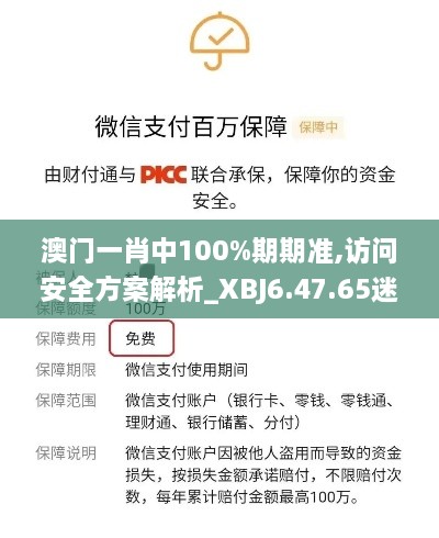 澳门一肖中100%期期准,访问安全方案解析_XBJ6.47.65迷你版