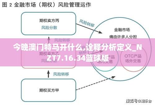 今晚澳门特马开什么,诠释分析定义_NZT7.16.34蓝球版