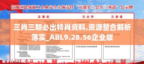 三肖三期必出特肖资料,资源整合解析落实_ABL9.28.56企业版