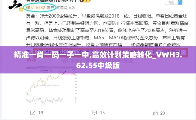 精准一肖一码一子一中,高效计划策略转化_VWH3.62.55中级版