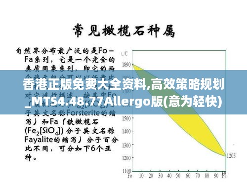 香港正版免费大全资料,高效策略规划_MTS4.48.77Allergo版(意为轻快)