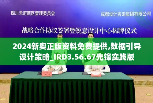 2024新奥正版资料免费提供,数据引导设计策略_IRD3.56.67先锋实践版