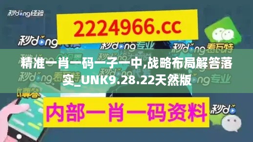 精准一肖一码一子一中,战略布局解答落实_UNK9.28.22天然版