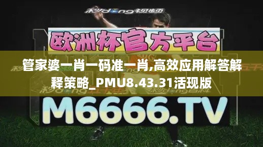 管家婆一肖一码准一肖,高效应用解答解释策略_PMU8.43.31活现版