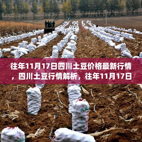 四川土豆行情解析，往年11月17日最新价格动态及影响因素分析