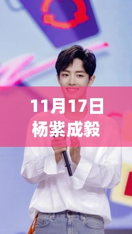 杨紫成毅，11月17日的温馨日常与快乐时光