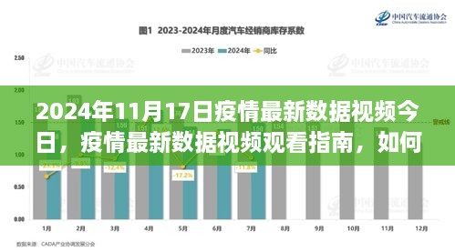 2024年11月17日疫情最新数据视频观看指南及解读