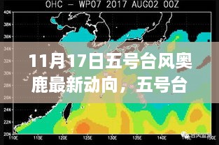 风云变幻，五号台风奥鹿最新动向与影响力