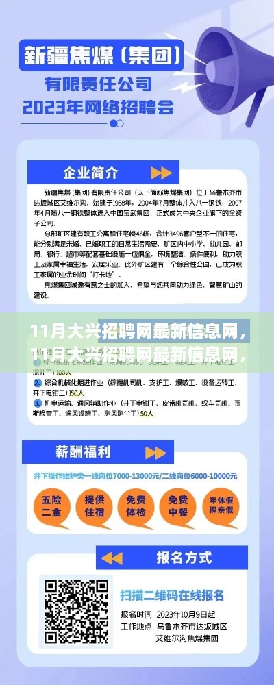 11月大兴招聘网最新信息全面评测与深度介绍