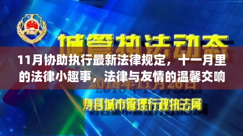 十一月法律小趣事，友情与法律温馨交响，最新法律规定的温馨执行时刻