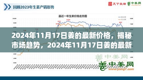 揭秘姜市场趋势，2024年11月姜的最新价格与市场分析报告