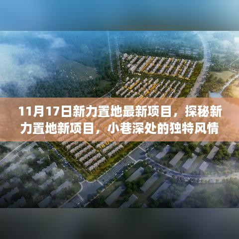 探秘新力置地新项目，小巷深处的独特风情小店揭秘（最新项目报道）