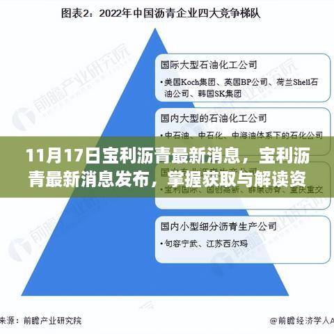 宝利沥青最新消息发布，获取与解读资讯的完整步骤指南（适用于初学者与进阶用户）