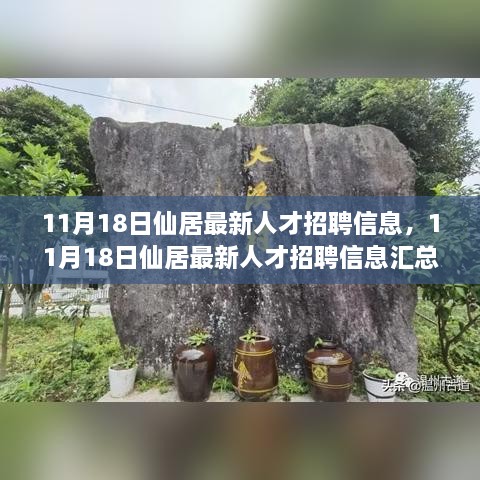 11月18日仙居人才招聘信息汇总与解读，最新岗位一网打尽