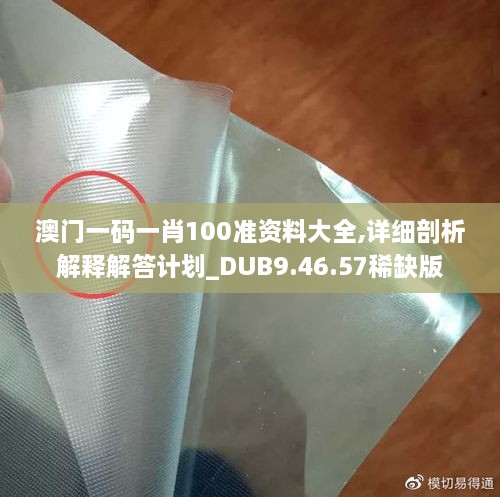 澳门一码一肖100准资料大全,详细剖析解释解答计划_DUB9.46.57稀缺版