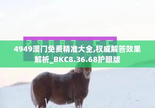 4949澳门免费精准大全,权威解答效果解析_BKC8.36.68护眼版