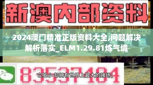 2024澳门精准正版资料大全,问题解决解析落实_ELM1.29.81炼气境