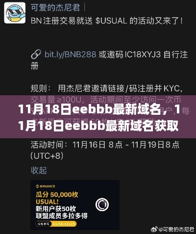 11月18日eebbb最新域名详解，获取、使用指南——新手到高手的必经之路