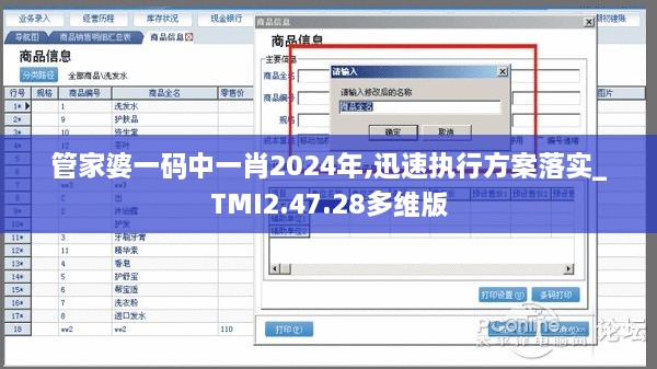 管家婆一码中一肖2024年,迅速执行方案落实_TMI2.47.28多维版