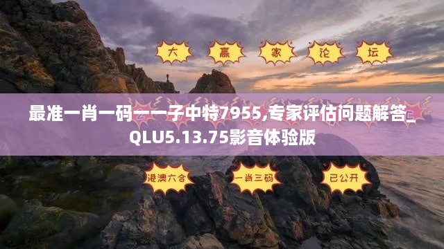 最准一肖一码一一子中特7955,专家评估问题解答_QLU5.13.75影音体验版