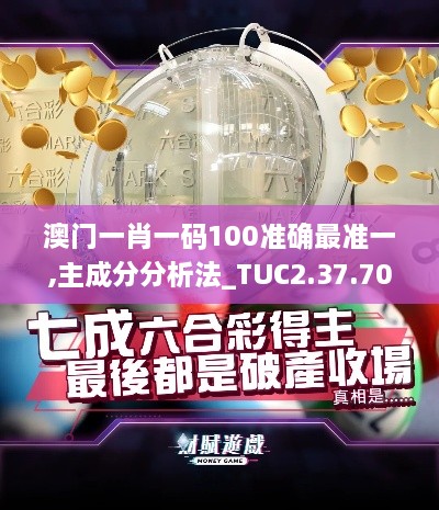 澳门一肖一码100准确最准一,主成分分析法_TUC2.37.70旗舰版