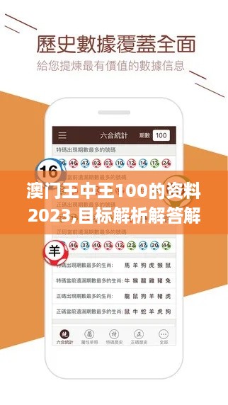 澳门王中王100的资料2023,目标解析解答解释计划_MKZ1.54.47创意版