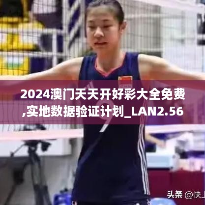 2024澳门天天开好彩大全免费,实地数据验证计划_LAN2.56.94动图版